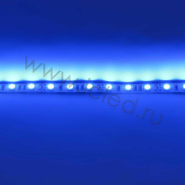 Светодиодная лента  Standart PRO class, 5050, 60led/m, Blue, 12V, IP20