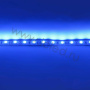 Светодиодная лента  Standart PRO class, 5050, 60led/m, Blue, 12V, IP20