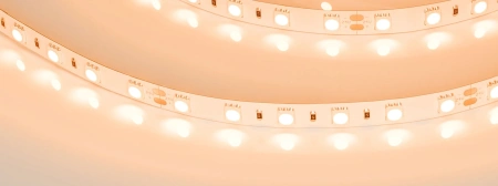 Светодиодная Лента RT-B60-10mm 24V Orange (14.4 W/m, IP20, 5060, 5m) (Arlight, 14.4 Вт/м, IP20)