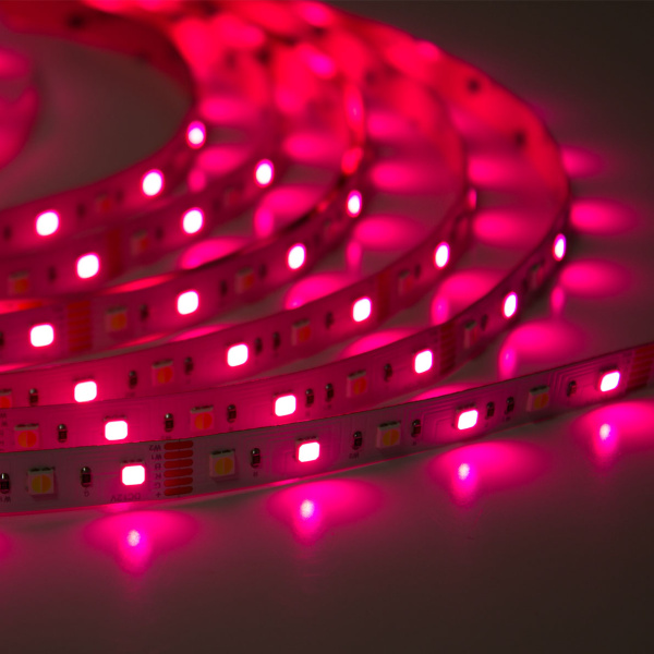 Светодиодная лента Class Premium 3838 72 led/m, RGB+CCT (RGB+white/ warm white), 12V, IP20, А41