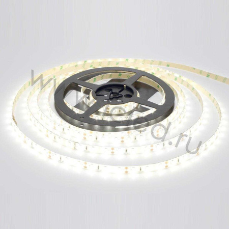 Светодиодная лента Standart PRO class, 5630, 60led/m, white,12V, IP65