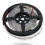 Светодиодная лента Standart class, 5050, 30led/m, White, 12V, IP20
