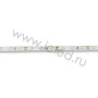 Светодиодная лента Standart PRO class, 3528, 60 led/m, Warm White, 12V, IP65