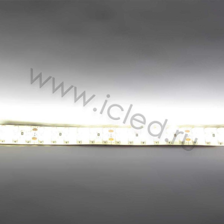 Светодиодная лента Standart PRO class, 3528, 240 led/m, Warm White, 24V, IP65
