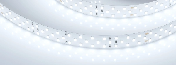 Светодиодная Лента RT-A252-19mm 24V White6000 (27 W/m, IP20, 2835, 5m) (Arlight, 27 Вт/м, IP20)