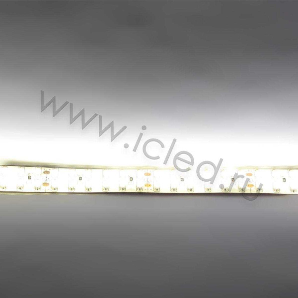 Светодиодная лента Standart PRO class, 3528, 240 led/m, Warm White, 24V, IP65
