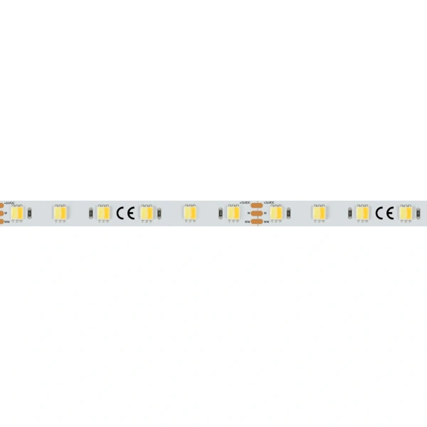 Светодиодная Лента RT 6-5000 24V White-MIX-One 2x (5060, 60 LED/m, LUX) (Arlight, Изменяемая ЦТ)
