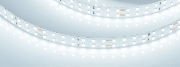 Светодиодная Лента RT-A196-15mm 24V Cool 8K (20 W/m, IP20, 2835, 5m) (Arlight, 20 Вт/м, IP20)