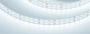 Светодиодная Лента RT-A196-15mm 24V Cool 8K (20 W/m, IP20, 2835, 5m) (Arlight, 20 Вт/м, IP20)
