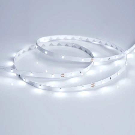 Светодиодная Лента RT 2-5000 24V Cool 8K 0.5x (3528, 150 LED, LUX) (Arlight, 2.9 Вт/м, IP20)