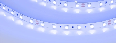 Светодиодная Лента RT-B60-10mm 24V Blue (14.4 W/m, IP20, 5060, 5m) (Arlight, Открытый)