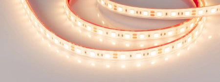 Светодиодная Лента герметичная RTW-PFS-B60-13mm 12V Warm3000 (14.4 W/m, IP68, 5060, 5m) (Arlight, -)