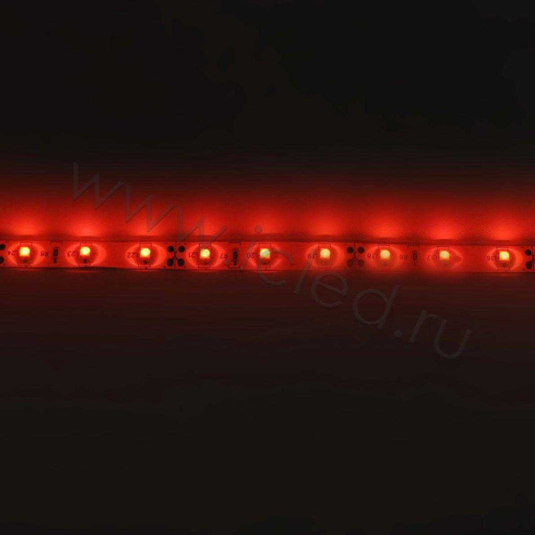 Светодиодная лента Standart PRO class, 3528, 60 led/m, Red, 12V, IP65
