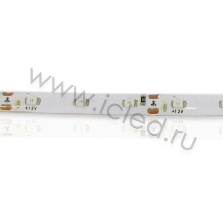 Светодиодная лента Standart class, 3528, 60led/m, Blue, 12V, IP65