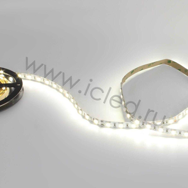 Светодиодная лента Standart class 5050, 60led/m, Day White, 24V, IP20, G151