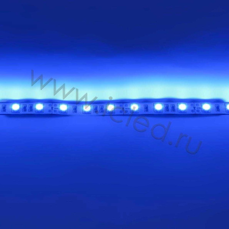 Светодиодная лента  Standart PRO class, 5050, 60led/m, Blue, 12V, IP20