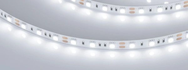 Светодиодная Лента RT-B60-10mm 12V White6000 (14.4 W/m, IP20, 5060, 5m) (Arlight, 14.4 Вт/м, IP20)