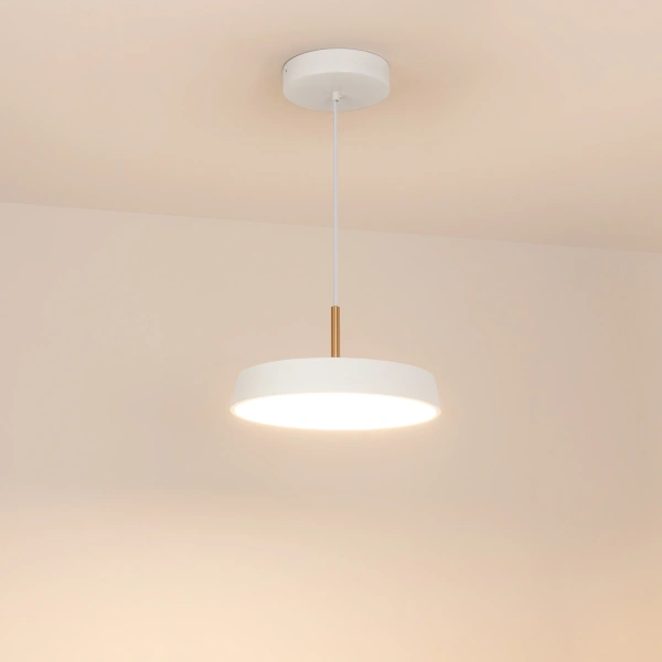 Светильник SP-ELEGANT-R300-17W Warm3000 (WH, 120 deg, 230V) (Arlight, IP20 Металл, 3 года)