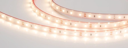Светодиодная Лента герметичная RTW-PS-A60-10mm 12V Warm3000 (4.8 W/m, IP67, 2835, 5m) (Arlight, 4.8 Вт/м, IP67)