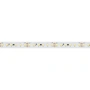 Светодиодная Лента IC2-20000 24V Day4000 2x 12mm (2835, 120 LED/m, Long) (Arlight, 9.6 Вт/м, IP20)