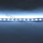 Светодиодная лента Standart class, 5050, 60led/m, White, 12V, IP20