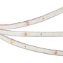 Светодиодная Лента герметичная RTW-PFS-A60-11mm 24V White6000 (4.8 W/m, IP68, 2835, 5m) (Arlight, 4.8 Вт/м, IP68)