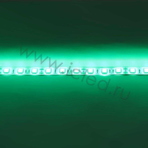 Светодиодная лента Standart class, 5050, 60led/m, Green, 12V, IP65