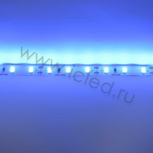 Светодиодная лента  Standart PRO class, 5630, 60led/m, Blue,12V, IP20