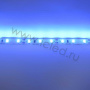 Светодиодная лента  Standart PRO class, 5630, 60led/m, Blue,12V, IP20