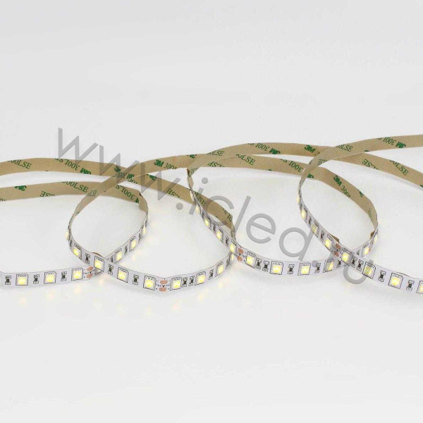 Светодиодная лента Standart class, 5050, 60led/m, Warm White, 24V, IP20, G63