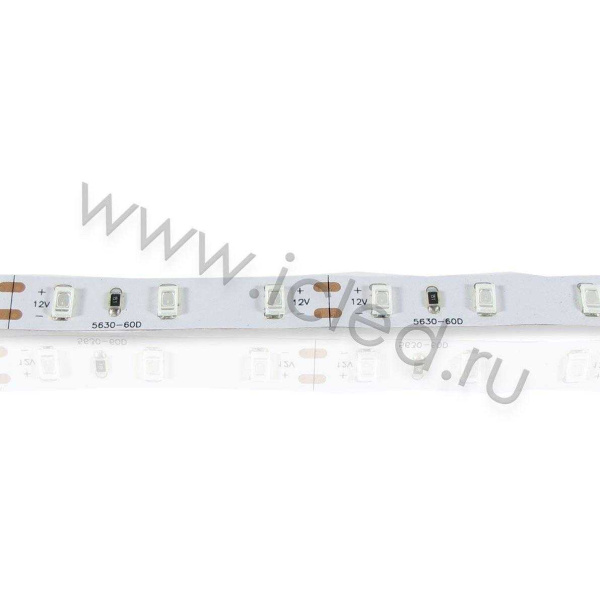 Светодиодная лента  Standart PRO class, 5630, 60led/m, Blue,12V, IP20