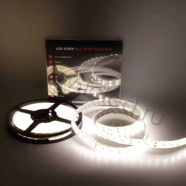 Светодиодная лента Class Premium, 5050, 120 led/m, Day White, 24V, IP65, А12