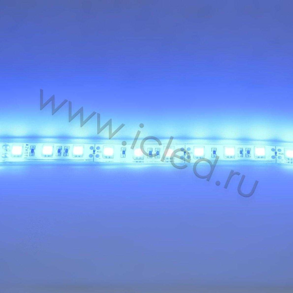 Светодиодная лента Standart PRO class, 5050, 60led/m, Blue, 12V, IP68
