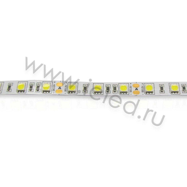 Светодиодная лента LUX class , 5050, 60 led/m, Day White,12V, IP20