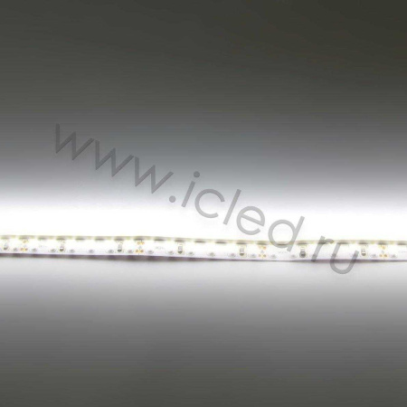 Светодиодная лента Standart class 3528, 120 led/m, Day White, 24V, IP20, G159