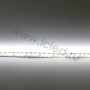 Светодиодная лента Standart class 3528, 120 led/m, Day White, 24V, IP20, G159