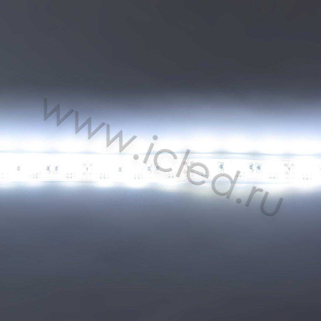 Светодиодная лента Standart PRO class, 5050, 60led/m, White, 12V, IP68