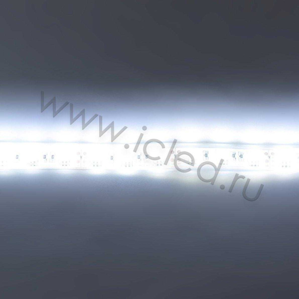 Светодиодная лента Standart PRO class, 5050, 60led/m, White, 12V, IP68