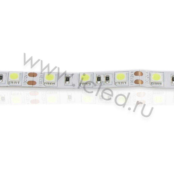 Светодиодная лента Standart class, 5050, 60led/m, White, 12V, IP20