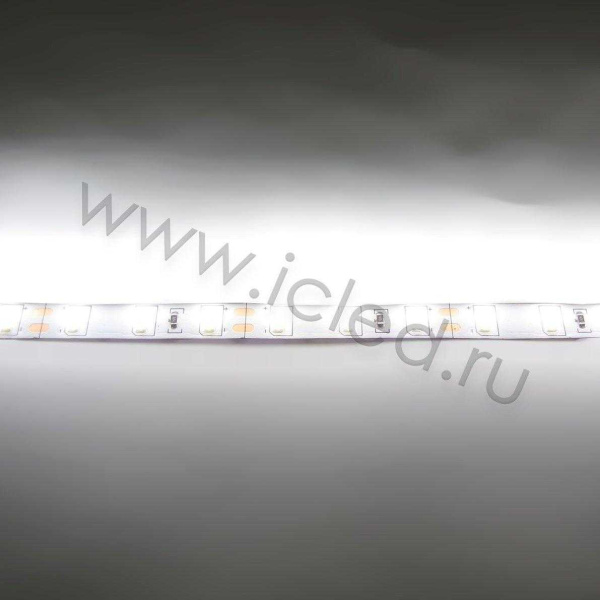Светодиодная лента  Standart PRO class, 5630, 60led/m, day white, 12V, IP20, P306