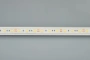 Светодиодная Лента герметичная RTW-PFS-B60-13mm 12V Warm3000 (14.4 W/m, IP68, 5060, 5m) (Arlight, -)