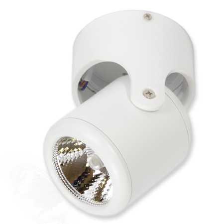 Светодиодный светильник JH-BTH-05 White V162 (10W, 220V, white)