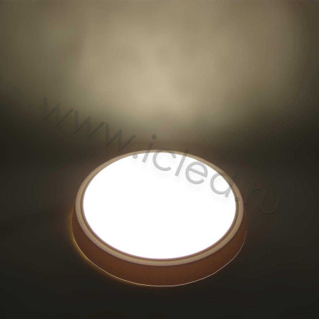 Светодиодный светильник MR-RW D310 (16W, Warm White)