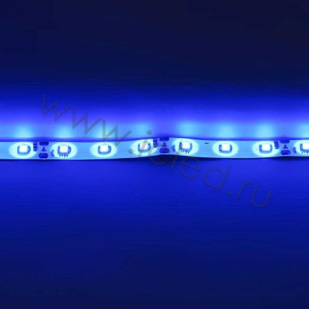 Светодиодная лента Standart class, 3528, 60led/m, Blue, 12V, IP65