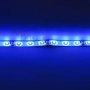 Светодиодная лента Standart class, 3528, 60led/m, Blue, 12V, IP65