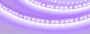 Светодиодная Лента RT-A120-8mm 24V Violet (9.6 W/m, IP20, 2835, 5m) (Arlight, -)