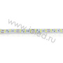 Светодиодная лента LUX class, 5050, 120 led/m, White, 24V, IP20