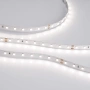 Светодиодная Лента RT 2-5000-50m 24V Day4000 (2835, 80 LED/m, LUX) (Arlight, 6 Вт/м, IP20)