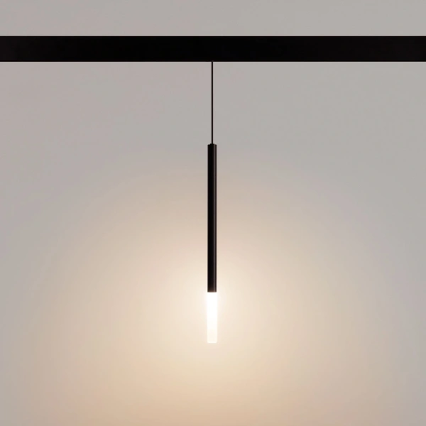 Светильник MAG-ORIENT-STICK-HANG-R20-6W Warm3000 (BK, 180 deg, 48V) (Arlight, IP20 Металл, 5 лет)