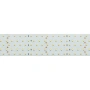 Светодиодная Лента RT 2-2500 24V Day4000 5x2 (2835, 875 LED, LUX) (Arlight, 36 Вт/м, IP20)